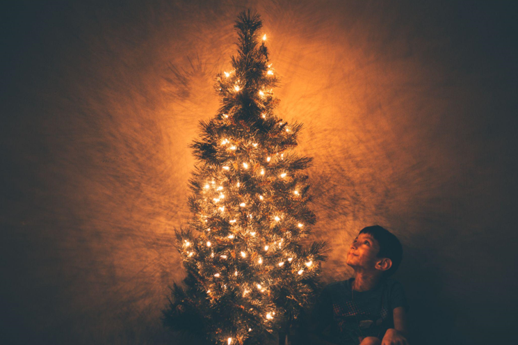 Artificial Christmas Trees in Education: Giving Students a Chance for a Better Future